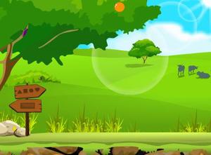 play Escapezone Green Field Escape