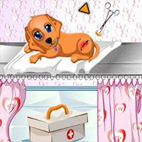 play Dog Health Care