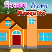 play Escape From Mosquito