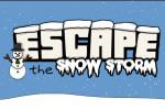 play Escape The Snow Storm