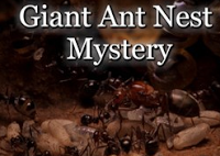 play Giant Ant Nest Mystery Escape