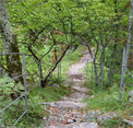 play Escape From Skocjan Caves