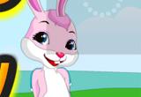 play Escape Female Bunny