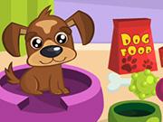 play Pretty Dog Contest