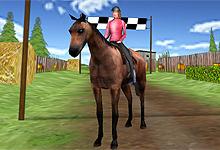 play Horse Jumping 4