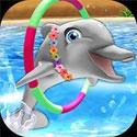 My Dolphin Show 8