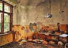 play Escape From Overgrown Palace
