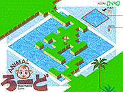 play Monkey