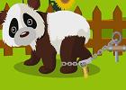 play Cute Panda Rescue