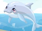 play Dolphin Care