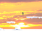 play So M 2 D Platformer