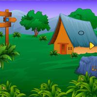 play Jungle Life Escape