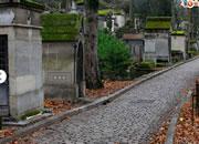 Escape From Churchyard In Paris