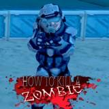 play How To Kill A Zombie