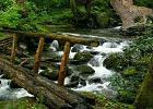 play Escape From Great Smoky Mountain National Park