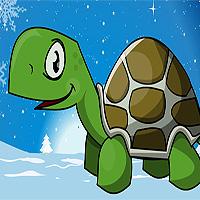 play Turtle Go Adventure