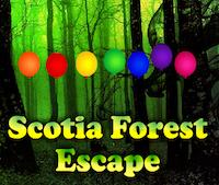 play Avm Scotia Forest Escape