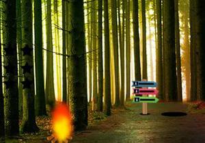 play Scotia Forest Escape