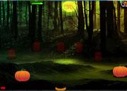 play Avm Scotia Forest Escape