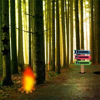 play Scotia Forest Escape