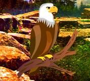 play Yal Owl Sanctuary Escape