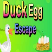 Duck Egg Escape