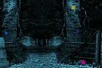 play Mystery Forest