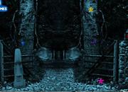 play Mystery Forest