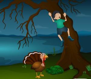 play Tollfree Small Boy And Turkey
