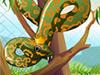 play Huggy The Ball Python