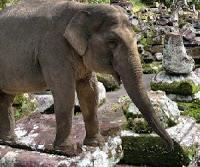play Goa Gajah Escape