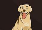 play Breed Dog Escape