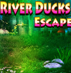 River Ducks Escape