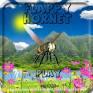 Flappy Hornet