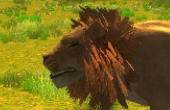 play Wild Life: Lion