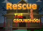 play Rescue The Groundhogs