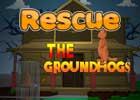 play Rescue The Groundhogs