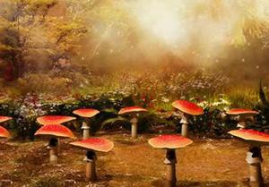 play Fantasy Flower World Escape