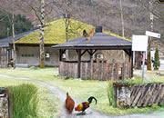play Livestock Farm Escape