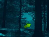play Dark Forest Fox Escape