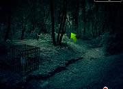 play Dark Forest Fox Escape