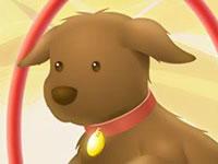 play Chocolate Course