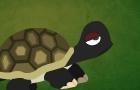 play Grumpy Turtle