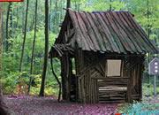 play Greenful Forest Escape