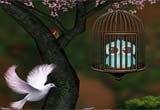 play Bird Escape Game