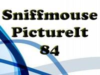 play Sniffmouse Pictureit 84