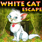 play White Cat Escape Game