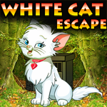 White Cat Escape