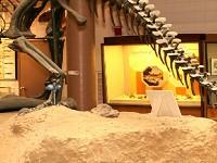 play Prehistoric Museum Escape