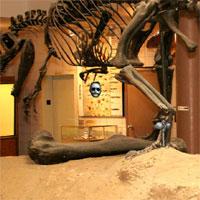 play Prehistoric Museum Escape